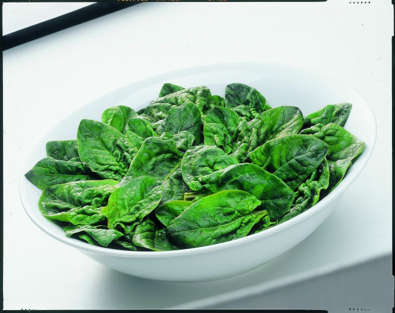 Gemse Blattspinat portioniert 450g