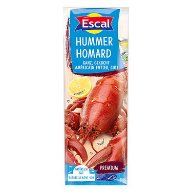 Hummer ganz gekocht Hummer ganz gekocht